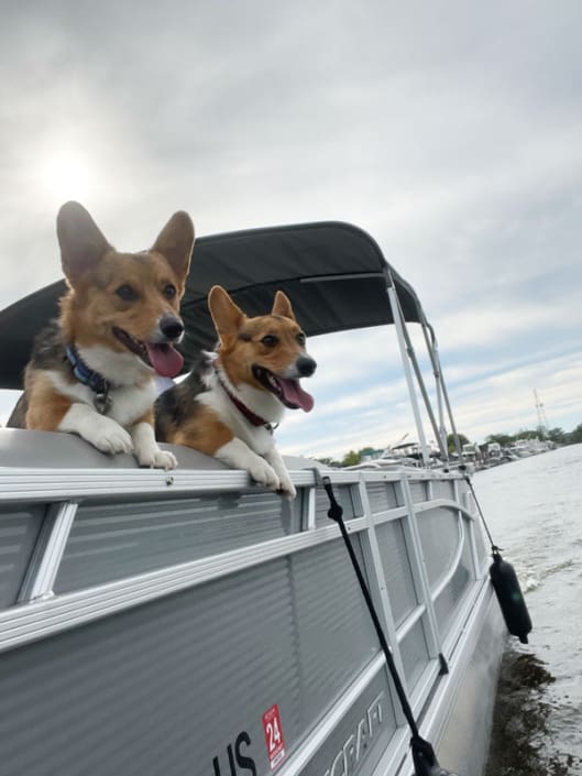 Pet Friendly Pontoon Rentals